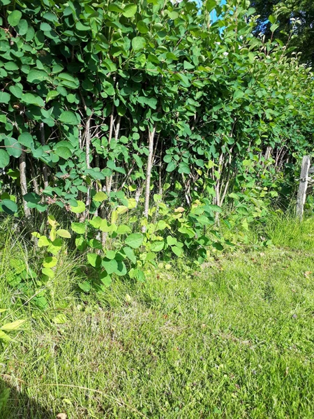 Gravnummer: GK A 5   125V