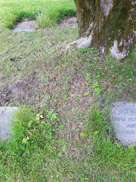 Gravnummer: NK A A   232