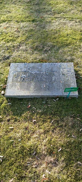 Hautatunnus: 3 Nya E   126-127