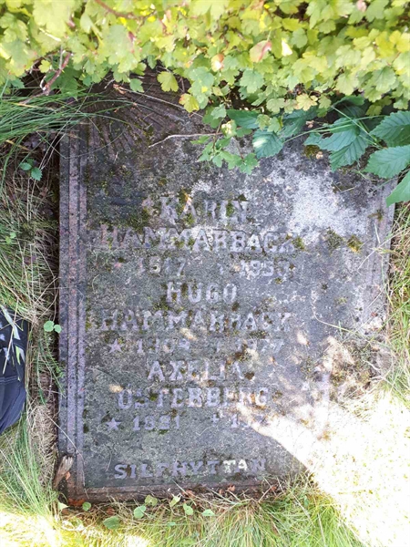 Hautatunnus: NK F G   259