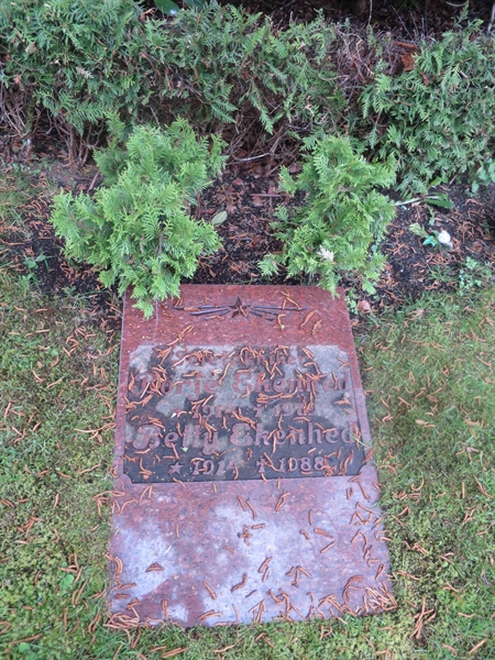 Grave number: HÖB N.UR   225