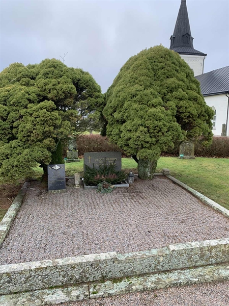 Grave number: V OIII 259, 260