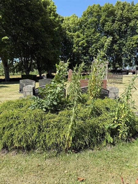 Grave number: TR 3 3    49