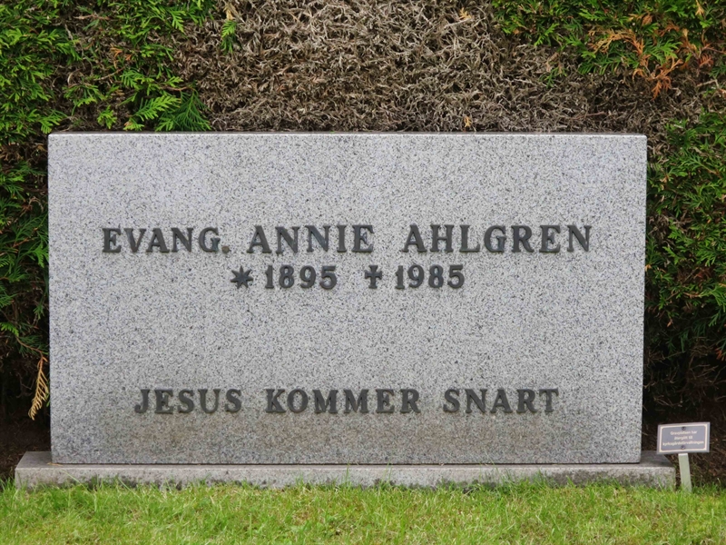 Grave number: HÖB 63    14