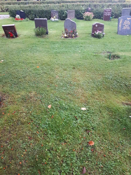 Gravnummer: NK F D   228