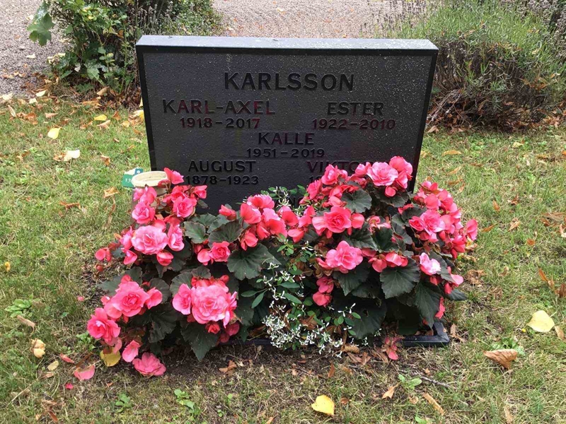 Hautatunnus: Led   130-131