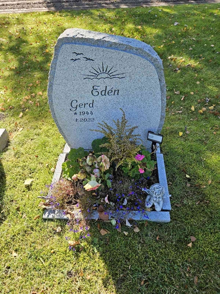 Grave number: Fr 7   954
