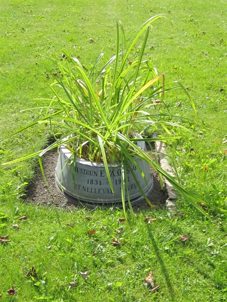 Grave number: 1 9    38