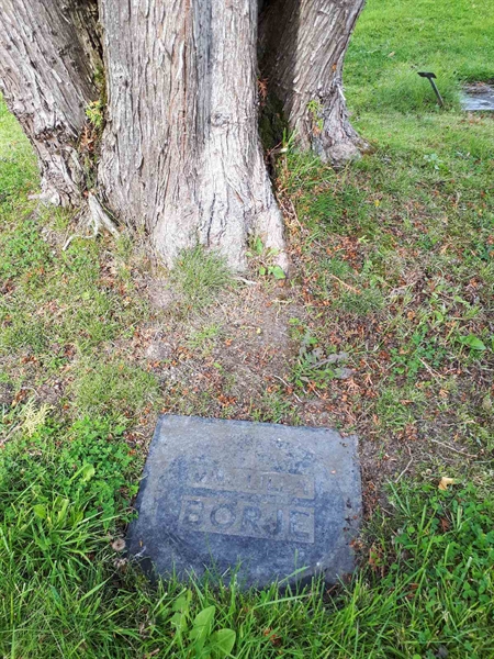 Gravnummer: NK A A   212