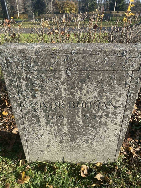 Hautatunnus: 6 04    262