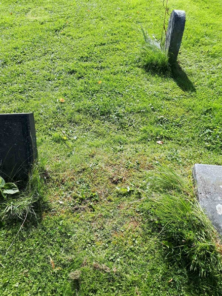 Gravnummer: NK A A   121