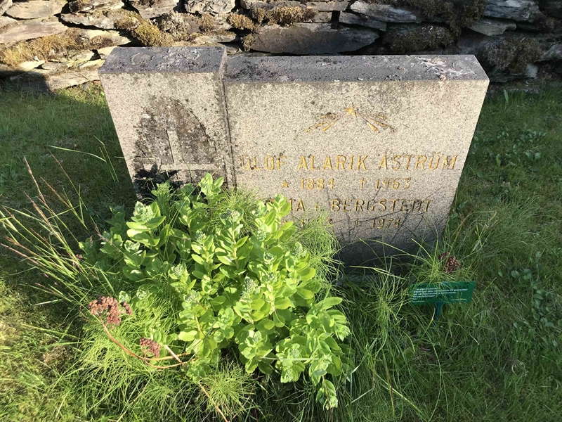 Grave number: UÖ KY    62, 63