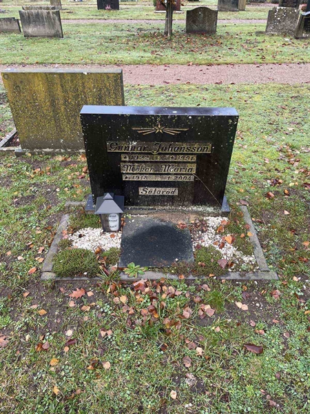 Grave number: VV 6   241