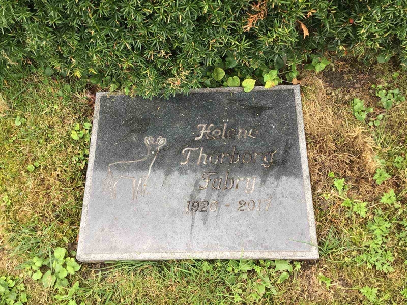 Hautatunnus: Kaga ny   234