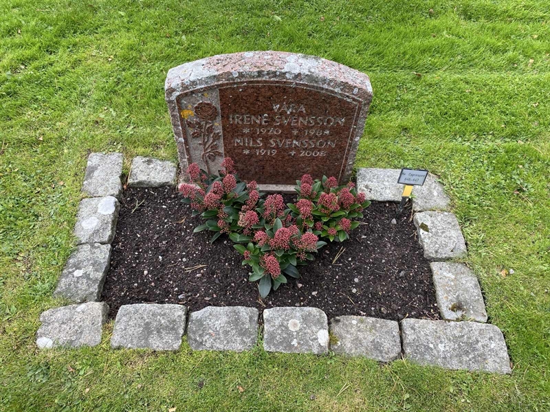 Hautatunnus: 2 C   646-647