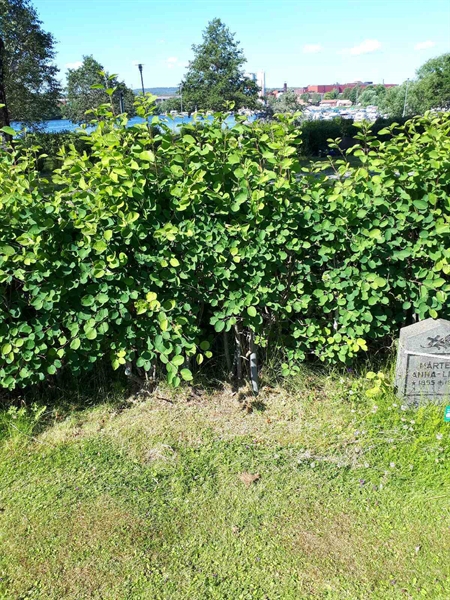 Hautatunnus: GK A 5   165H