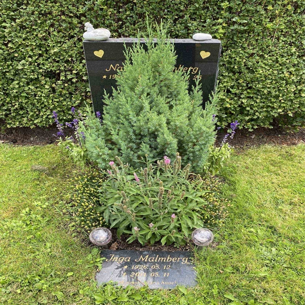 Hautatunnus: 1 NC   101