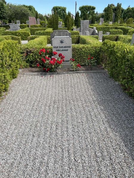 Grave number: NK IV    71