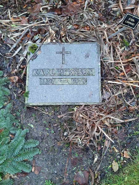 Grave number: NS U      1