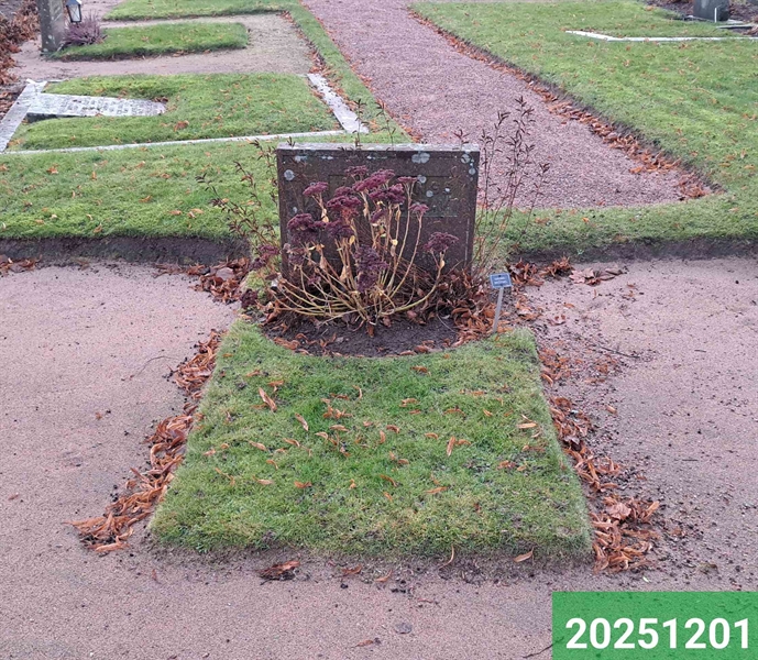 Grave number: 1 N   103