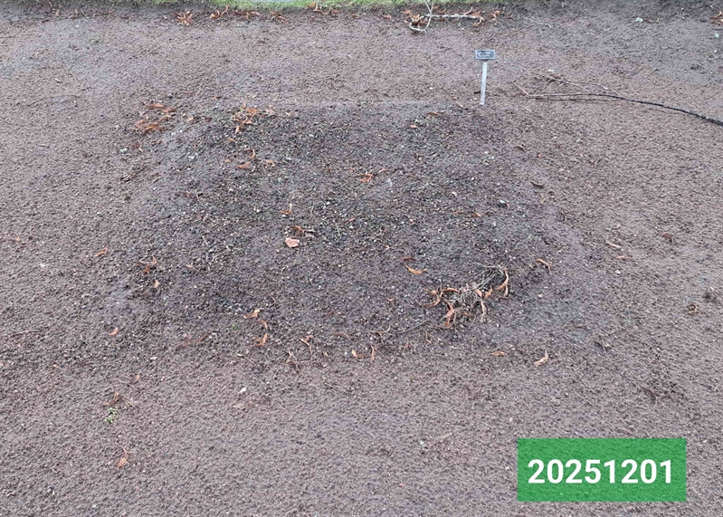 Gravnummer: 1 N   107