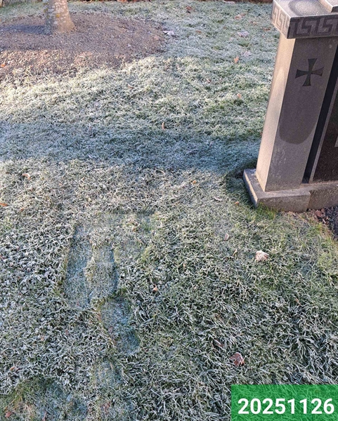 Hautatunnus: 1 N    16