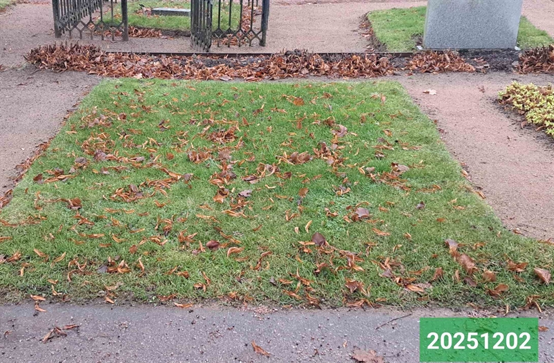 Hautatunnus: 1 N   120