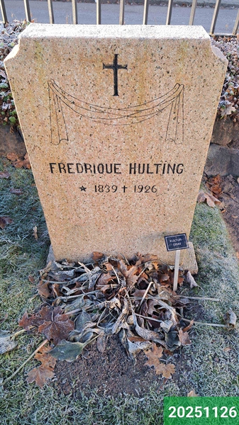 Hautatunnus: 1 N    13