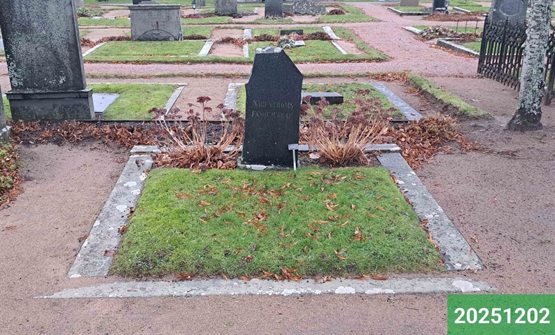 Hautatunnus: 1 N   118