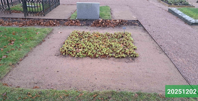 Hautatunnus: 1 N   121