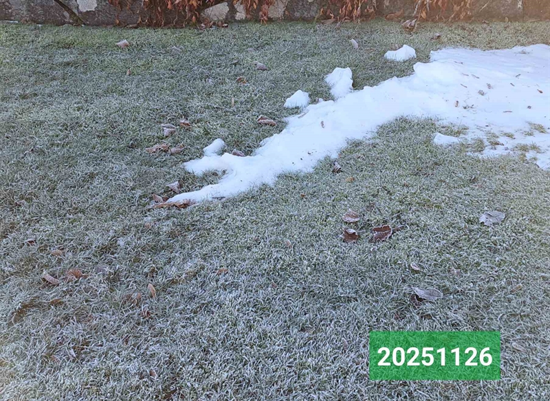 Hautatunnus: 1 N    49