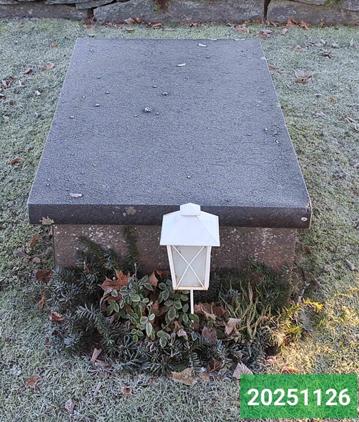 Gravnummer: 1 N    55