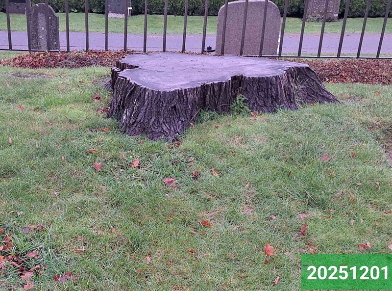 Hautatunnus: 1 N    72