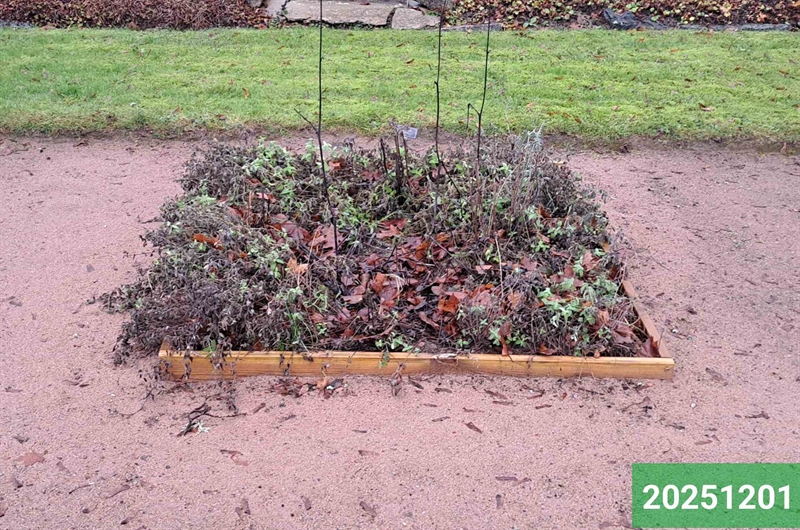 Gravnummer: 1 N    69