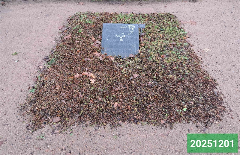 Grave number: 1 N    76