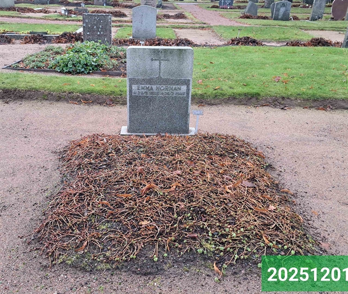 Gravnummer: 1 N    95