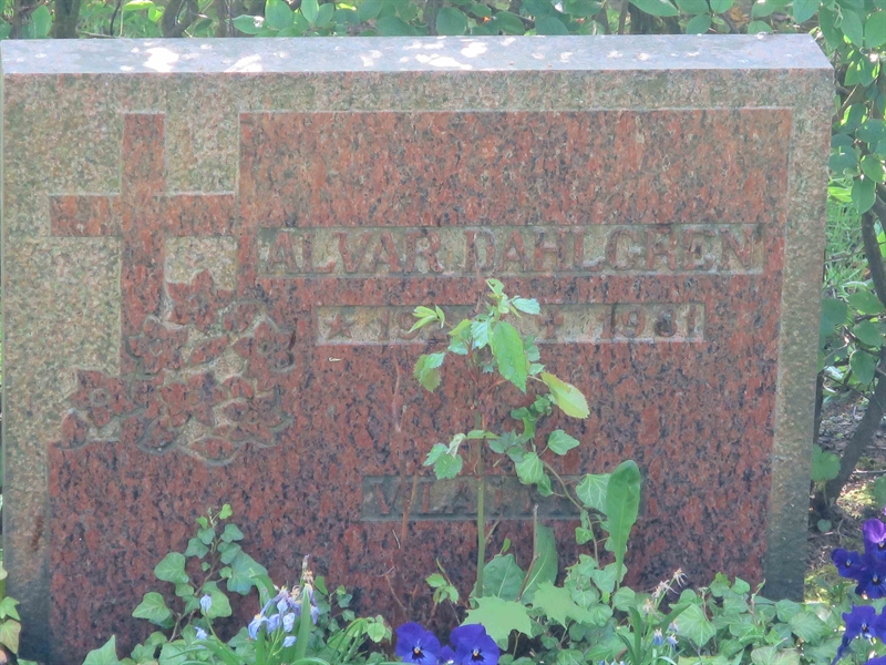 Grave number: HÖB 68   145