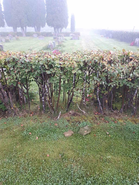 Gravnummer: NK F B   177