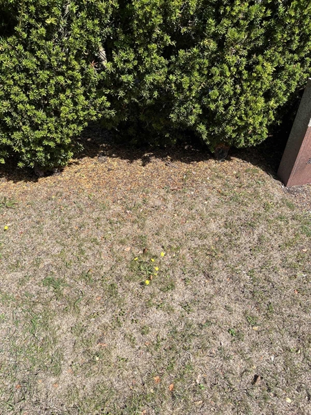 Grave number: NK I:u    58