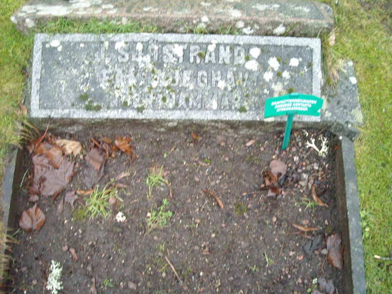Grave number: B G  976, 977