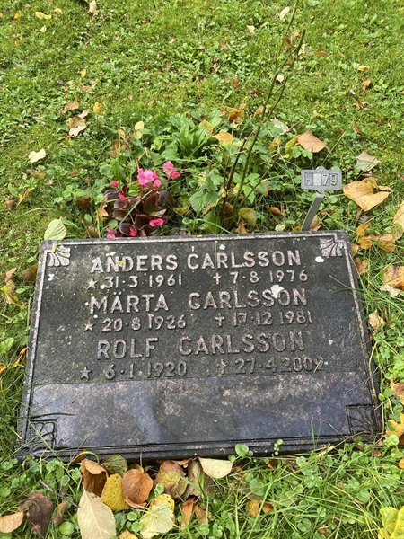 Gravnummer: 1 H    79