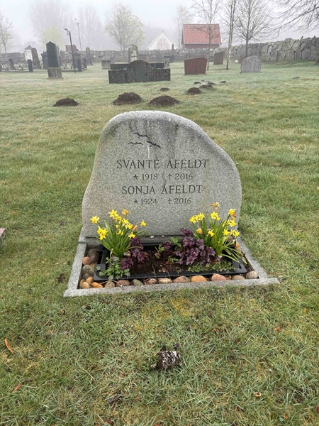 Hautatunnus: L H     8