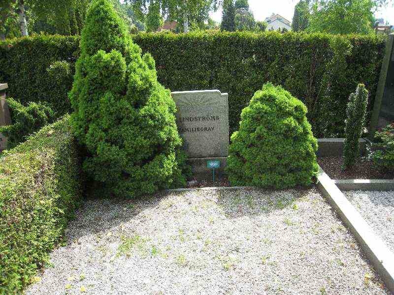 Grave number: NK II    64