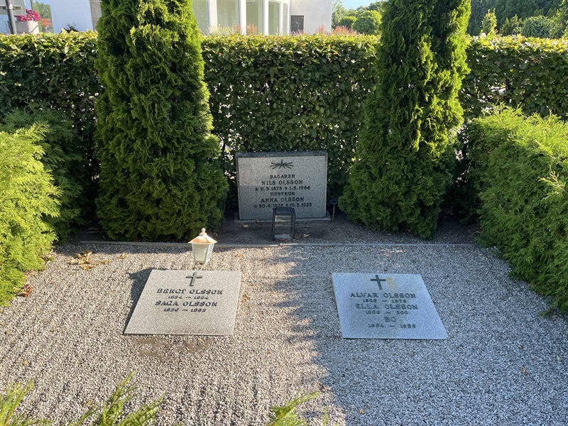 Grave number: NK IX   119