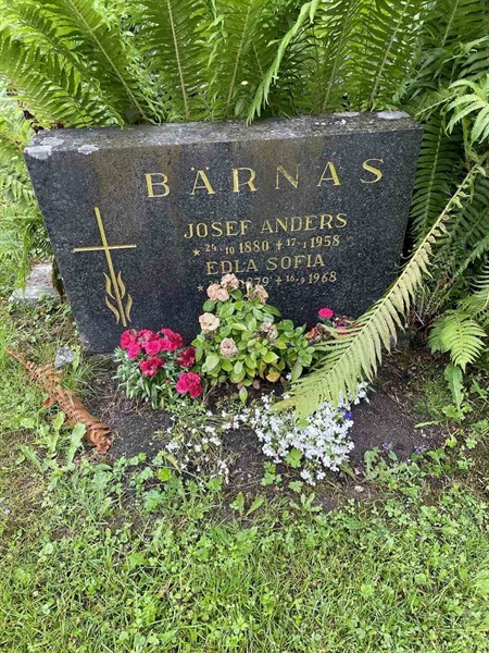 Gravnummer: N 4 4   523