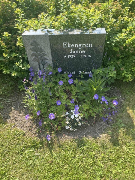 Grave number: 1 F1    74-75