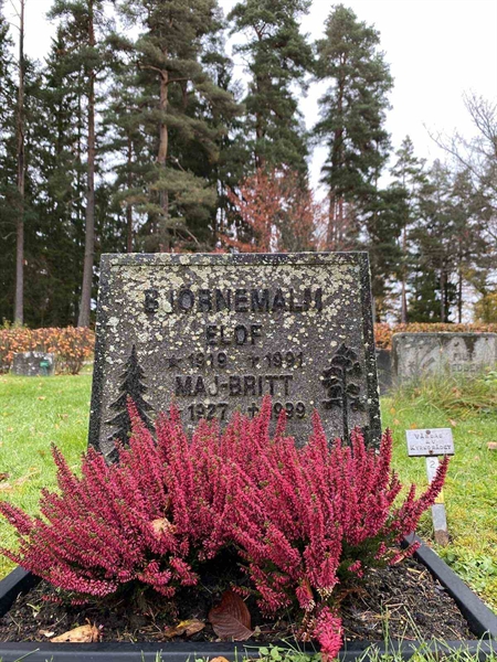 Grave number: 1 24    207