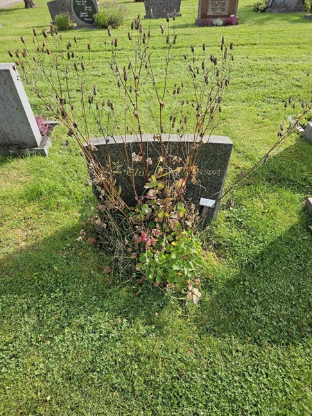 Hautatunnus: Fr 8   526