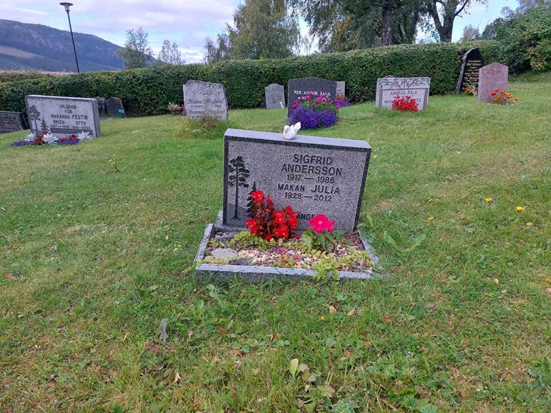 Grave number: K K    50, 51