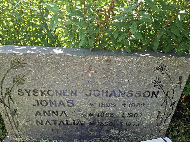 Grave number: 451 19 65